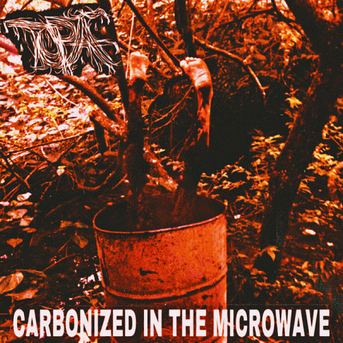 Tupã : Carbonized in the Microwave